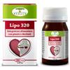R.I.GROUP LIPO 320 30CPS