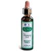 SANTIVERI Sa Ainsworths Recov Plus Gocce 20 ml