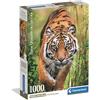Clementoni - Puzzle 1000 Pezzi per Adulti e Ragazzi, Illustrazione The Hunter's Path, Idea Regalo, Compact Box, Made in Italy, 70x50 cm, Poster Incluso, 37108