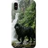 Dog Breed Landscape Studio Custodia per iPhone XS Max Scena della foresta della scogliera della cascata del cane di Terranova
