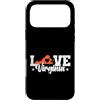 US States United States USA Country Amer Custodia per iPhone 17 Pro Max Virginia Love USA America Stato