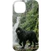 Dog Breed Landscape Studio Custodia per iPhone 14 Scena della foresta della scogliera della cascata del cane di Terranova