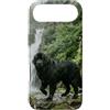 Dog Breed Landscape Studio Custodia per iPhone Air Scena della foresta della scogliera della cascata del cane di Terranova