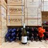 Marchesi Antinori Fiano di Bocca di Lupo 2024 Marchesi Antinori