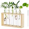 Glasseam Vaso Parete Interno Fiori Vetro: Decorativi Moderni Vasi Provetta Porta Con Supporto In Legno Eleganti Stazione Di Propagazione Per Talee Piante Idroponico Tavolo