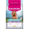 EUKANUBA Sensitive Digestion Cibo per cani con pollo e riso ad alta digeribilità - Mangime secco Special Care delicato sullo stomaco per cani giovani con sensibilità digestiva, 2,3 kg