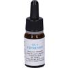 Olio Alkaest Qe6 Cipresso 10M 10 ml Olio essenziale