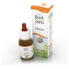GUNA SpA Gorse - Fiore di Bach n°13 Guna - 10 ml