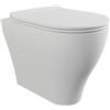 CERAMICA FLAMINIA Wc con Bidet integrato App Flaminia Filomuro 52x36 cm Traslato Senza Brida Bianco Lucido - Cod. Articolo: AP117RGE