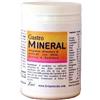LIVI Sas di Lincetto & C. Gastromineral polvere 250 g