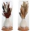 Redesyn DECORACION FLOR SECA CRISTAL 8,5X8,5X20 2 SURT.
