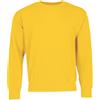Fruit of The Loom Felpa da Uomo Classica con Cappuccio, Girasole, 2XL