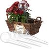 Relaxdays Set 4 Sfere per Irrigazione, Dosatori d'Acqua per Piante da Vaso, Durata 2 Settimane, in Plastica, Trasparente