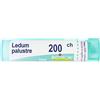 Boiron Ledum Palustre 200 CH - Globuli omeopatici per le punture d'insetto, tubo monodose da 1 g