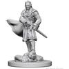 WizKids Dungeons & Dragoni: Nolzur's Marvelous Unpainted Minis: Vampiri