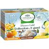 L'Angelica, Passioni d'Estate, Collection Infusi di 3 Gusti, Mix di Tisane Fredde, Frozen Yogurt Mango, Granita alle Mandorle, Sorbetto al Limone, Zero Calorie, 1 Confezione da 15 Filtri