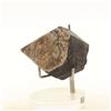 A Bijoux Pietre E Minéraux. Flogopite 160 Ct. Ampandandrava, Bekily Distretto, Tony