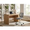 FurnitureR Sedia da lavoro ergonomica per bambini, ragazzi, ragazze, studio, altezza regolabile, girevole per computer portatile, sedia da scrivania per casa, ufficio, studio