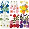 Ikruidy Fiori Secchi per Resina 72 pezzi Fiori Pressati Essiccati Misti Fiore Pressati Secchi Naturali per DIY Candele Gioielli in Resina Unghie Pendenti Arte Decorazione Floreale
