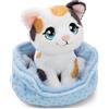 NICI Peluche Gatto Portafortuna Tricolore 12 cm nel Cestino - Morbido e Tenero, Idea Regalo | 63322