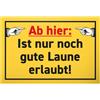 DankeDir! Buon umore - Targa in plastica 30 x 20 cm - Idea regalo per feste - Regalo di compleanno - Targa per porta divertente con scritta in lingua tedesca