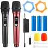 Leikurvo Set microfono senza fili, doppio microfono, microfono a mano, ricaricabile, dinamico con ricevitore, portata di ricezione 20 m, microfono karaoke, microfono per palcoscenico, conferenza, KTV a casa