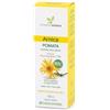 FARMADERBE SRL Arnica pomata 100 ml