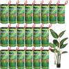 Joogee 20pz Rotolini Acchiappamosche, Joogee Trappole Mosche Strisce Cattura Mosche Zanzare Adesivi Nastro di Trappole Adesive Appeso Non Tossica Inodore per Tarma in Balcone Mosche da Finestra Casa Camera