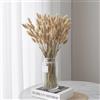 GIUSOBG Code di Coniglio Erba della Pampa 60 Pezzi Pianta Boho Fiori Secchi Naturali, Pampas Decorative per Decorazioni Casa Tavola Matrimonio (Colore primario)