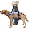 COODEO Imbracatura per Cane, Gilet di Supporto Completo e Recupero, Regolabile e Traspirante, per Cani Anziani, Disabili, con Lesioni Articolari, Artrite e Paralisi. (Blu, XL)