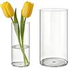 MELEJIA Set di 2 Vasi in Acrilico, Rotondo Vaso Trasparente, Vaso Indistruttibile Leggero, Vasi Trasparente Resistente per Fiori Freschi/Finti, Decorazione Interna/Esternea (10 x 20cm e 15 x 25cm)