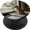 Dog Breed Landscape Studio Chihuahua Finestra Vista Accogliente Casa Compagno Scena PopSockets PopGrip Adesivo