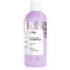 so!flow Coloured Hair Revitalizing Shampoo 400 ml