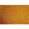 Glorex Crackle Mosaic Piatto, Vetro, 15 x 0.5 x 27 cm, Colore: Oro
