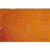 Glorex Crackle Mosaic Piatto, Vetro, Arancione, 15 x 0.5 x 27 cm