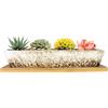 ARTKETTY Vasi per piante grasse in ceramica, vaso per bonsai rettangolare lungo con vassoio, mini fioriera per fiori di cactus con drenaggio per piante da interno/esterno (bianco)
