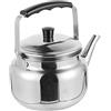 Angoily Bollitore da tè in acciaio inox da 1,5 litri per campeggio e cucina all'aperto con manico antiscalico, bollitore compatto per la casa, la cucina e il picnic