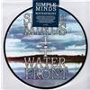 Simple Minds - Waterfront 45 Giri Picture Disc RSD Pop Rock Virgin