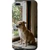 Dog Breed Landscape Studio Custodia per iPhone 7 Plus/8 Plus Chihuahua Finestra Vista Accogliente Casa Compagno Scena