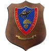 Giemme Crest Carabinieri Subacquei Italia 22,5 x 17,5 cm Prodotto Ufficiale