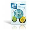 alldoro 60342 YoYo LED Ø 6 cm, JoJo per Principianti Luminoso, in plastica, per Principianti Yo Yo, con Effetto Luminoso per Bambini dai 3 Anni, per Interni ed Esterni, batterie Incluse, in 4 Colori