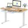 FLEXISPOT EW8 Scrivania Regolabile in Altezza Elettrica Motorizzata Standing Desk con Funzione Touch e Porte USB（Acero）