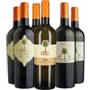 Fina Box Degustazione Bianchi Sicilia Kebrilla + Taif + KikÃ¨ 2025 - Cantine Fina [6 bot]