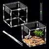 QingWing Terrario per Rettili Acrilico, 15x15x15cm Terrarium Acrilico con Termometro e Pinzette, Custodia Traspirante per L'allevamento di Rettili, Custodia in Plastica per Scorpioni, Millepiedi