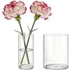 MELEJIA Set di 2 Vasi in Acrilico, Rotondo Vaso Trasparente, Vaso Indistruttibile Leggero, Vasi Trasparente Resistente per Fiori Freschi/Finti, Decorazione Interna/Esternea (10 x 20cm e 15 x 20cm)