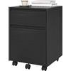 WOLTU Cassettiera Scrivania con 2 Cassetti, Schedario con Rotelle, Schedario da Ufficio A4, in Legno PB Nero, 40x40x56cm