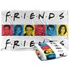 LOGOVISION Friends Cast Blocks Coperta super morbida al tatto setoso - 91 x 147 cm