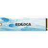 Ediloca SSD M 2 2TB NVMe SSD M2 2280 PCIe Gen 4x4 Lettura fino a 7100 MB/s Unità a Stato