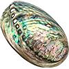 XUDREZ Grande conchiglia di abalone, guscio decorazione multiforo con macchie, per feste, matrimoni, accessori, decorazioni per la casa, 90 x 120 x 39 mm Foro: 3-9 mm circa.