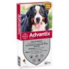 Advantix spot-on 600/3000 antiparassitario per cani (40 - 60 kg) 6 pipette